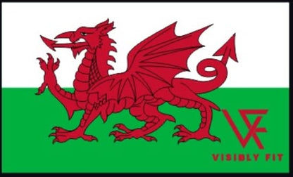 Visibly Fit Welsh Dragon Velcro Patch
