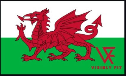 Visibly Fit Welsh Dragon Velcro Patch